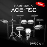 Hampback ACE-750 Silver ลดราคาพิเศษ