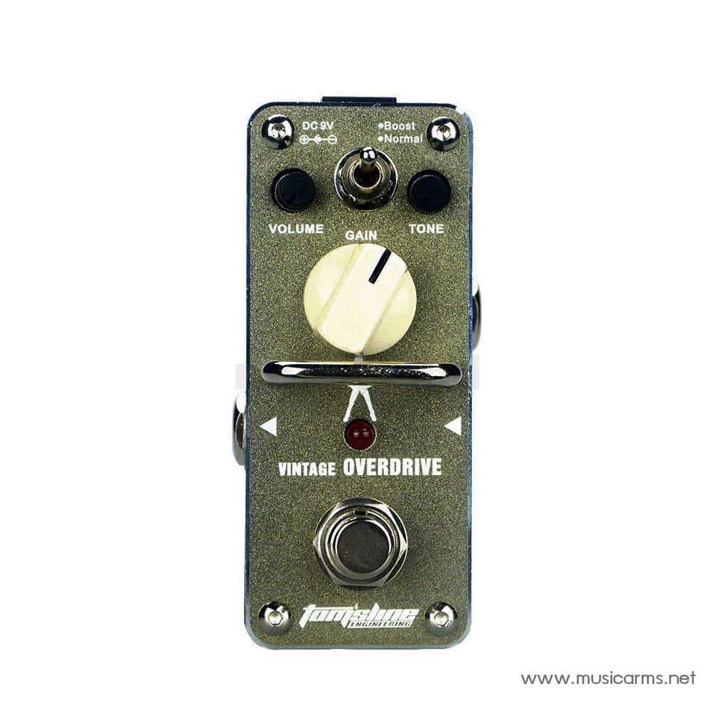Toms-Line-AGR-3S-Vintage-Overdrive Content 2