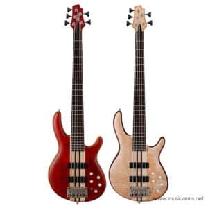 Cort Artisan A5 Plus FMMHราคาถูกสุด