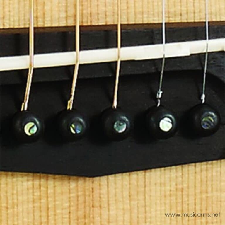 Cort GA5F-BW ขายราคาพิเศษ