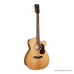 Cort Gold-OC6 Bocote ลดราคาพิเศษ