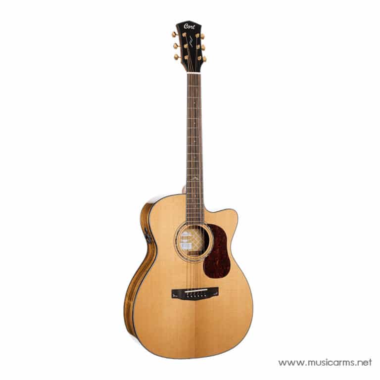 Cort Gold-OC6 Bocote ขายราคาพิเศษ