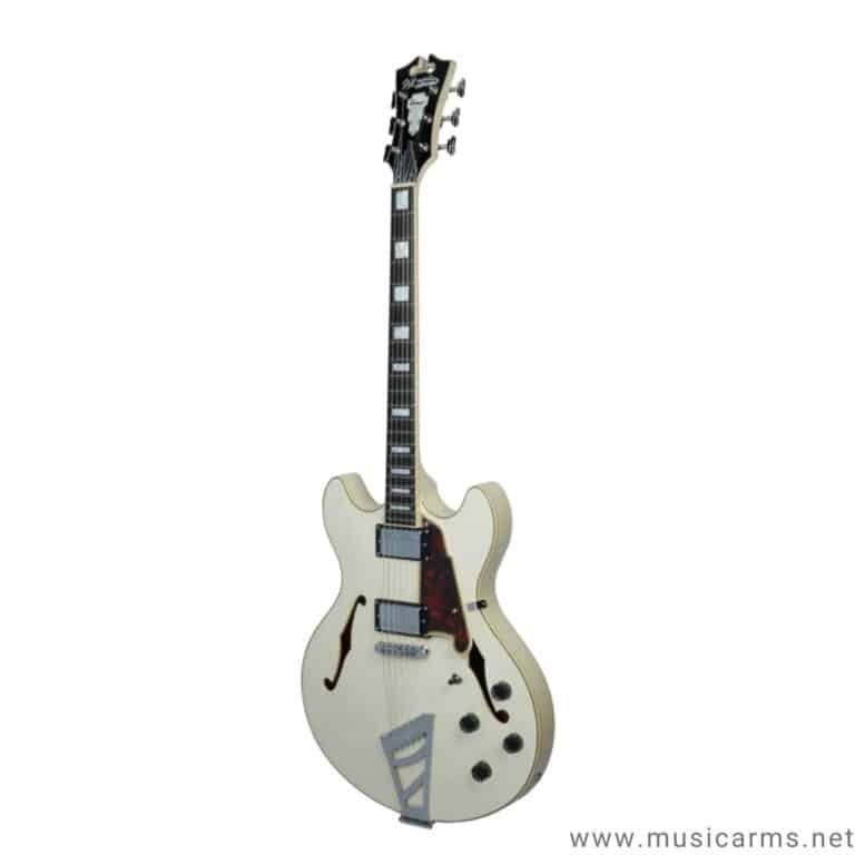 DAngelico DC Trans Wine ขายราคาพิเศษ