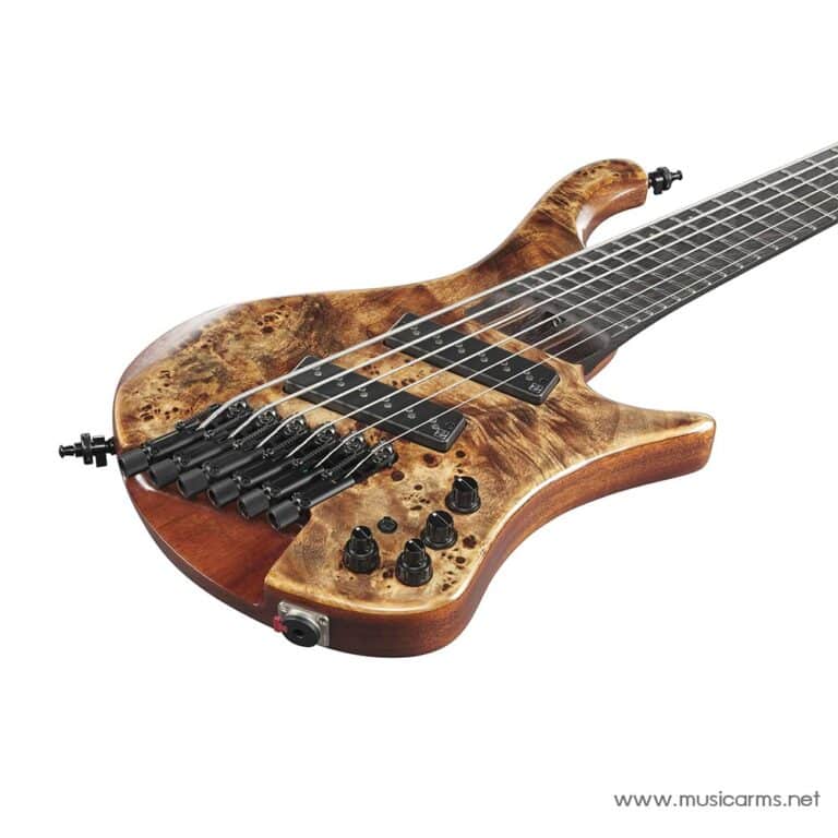 Ibanez EHB1506MS ขายราคาพิเศษ