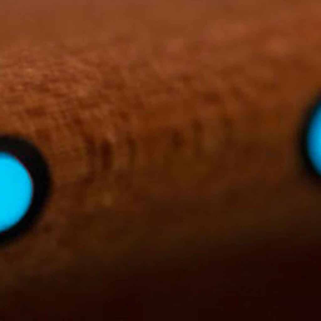 SOLOIST™ SL27 EX Content 2