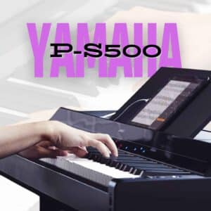 P-S500