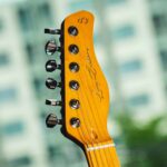 SIRE LARRY CARLTON T7TV ขายราคาพิเศษ