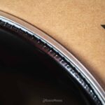 EVANS MX2 MARCHING BLACK BD16MX2B ขายราคาพิเศษ