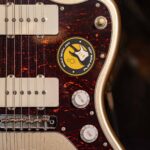 Larry Carlton J5 White ขายราคาพิเศษ