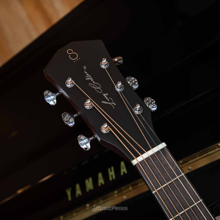 SIRE LARRY CARLTON G5A ขายราคาพิเศษ