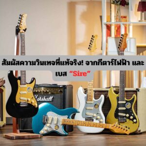 สัมผัสความวินเทจที่แท้จริง! จากกีตาร์ไฟฟ้า และเบส “Sire”ราคาถูกสุด