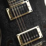 PRS SE HOLLOWBODY STANDARD PIEZO DOG HAIR SMOKEBURST ขายราคาพิเศษ