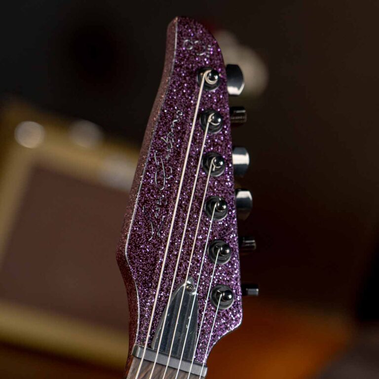 SIRE LARRY CARLTON Y10 กีตาร์ไฟฟ้า รวม ขายราคาพิเศษ