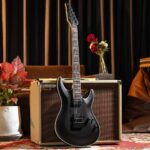 SIRE LARRY CARLTON Y5 BKS ขายราคาพิเศษ