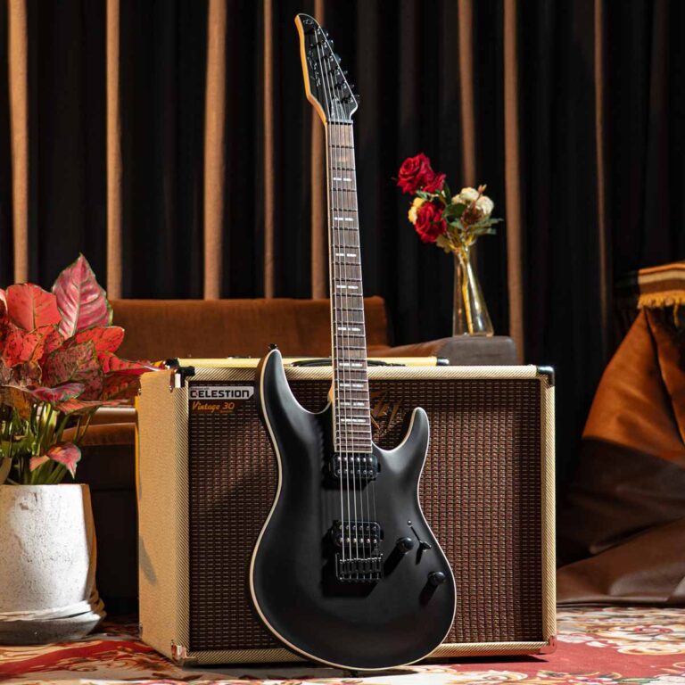 SIRE LARRY CARLTON Y5 BKS ขายราคาพิเศษ