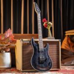 SIRE LARRY CARLTON Y5 TBK ขายราคาพิเศษ