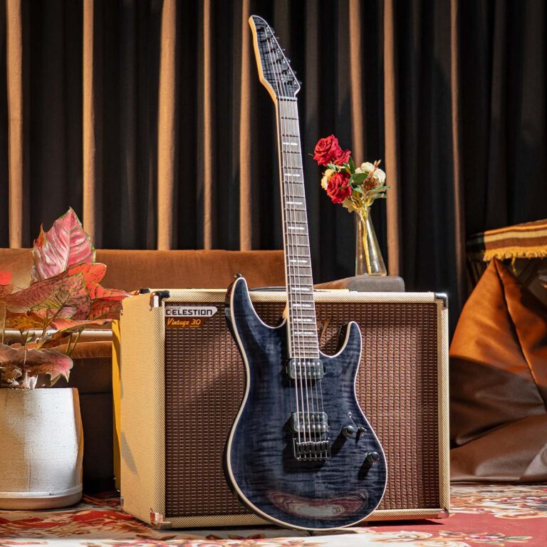 SIRE LARRY CARLTON Y5 TBK ขายราคาพิเศษ