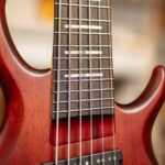 SIRE MARCUS MILLER M6 6 STRINGS MAHOGANY SATIN เบสไฟฟ้า ขายราคาพิเศษ