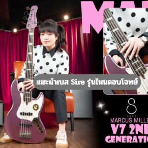 แนะนำเบส Sire รุ่นไหนตอบโจทย์