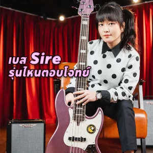 แนะนำเบส Sire รุ่นไหนตอบโจทย์