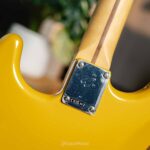 Fender Player II Modified Stratocaster HSS Yellow ขายราคาพิเศษ