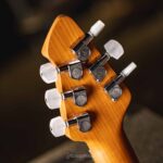 PEAVEY HP 2® POPLAR BURL RM NATURAL ELECTRIC GUITAR ขายราคาพิเศษ