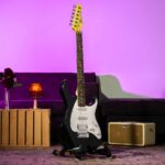 PEAVEY RAPTOR PLUS Black ขายราคาพิเศษ