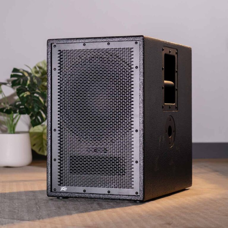 Peavey PVs 12 ลำโพงซับวูฟเฟอร์ ขายราคาพิเศษ