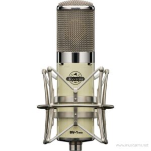 Avantone Pro BV‑1 MKII Tube Condenserราคาถูกสุด