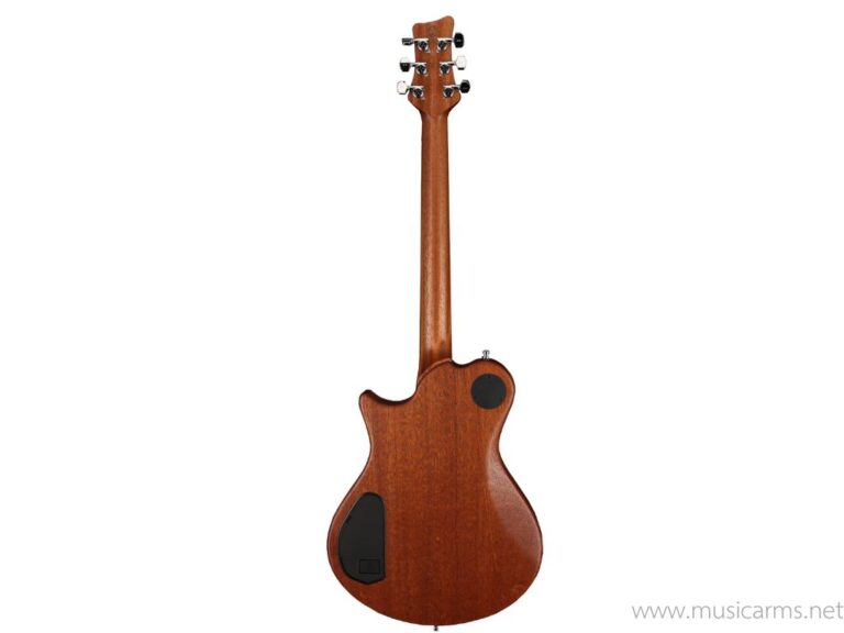 Framus Teambuilt Pro Series Panthera II Supreme – Nirvana Black ขายราคาพิเศษ