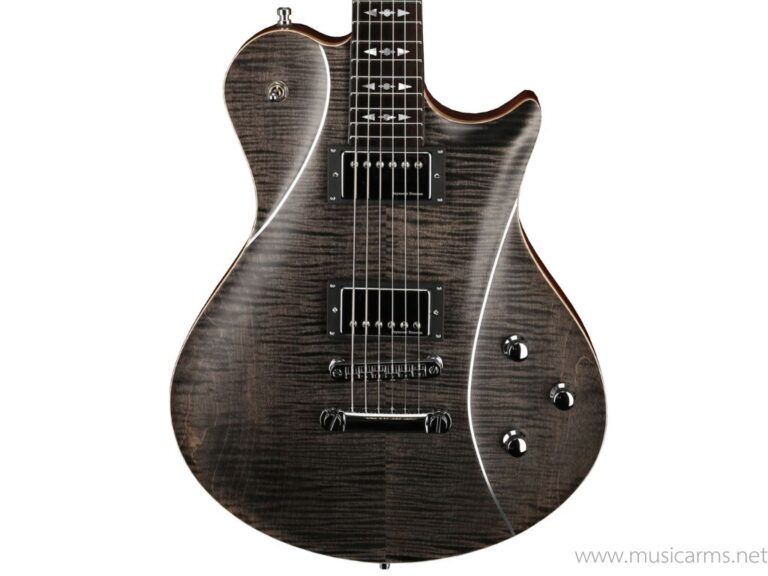 Framus Teambuilt Pro Series Panthera II Supreme – Nirvana Black ขายราคาพิเศษ