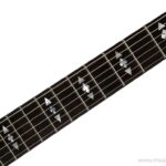 Framus Teambuilt Pro Series Panthera II Supreme – Nirvana Black ขายราคาพิเศษ