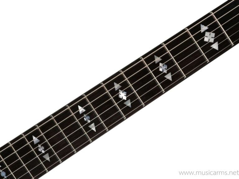 Framus Teambuilt Pro Series Panthera II Supreme – Nirvana Black ขายราคาพิเศษ