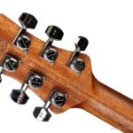 Framus Teambuilt Pro Series Panthera II Supreme – Nirvana Black ขายราคาพิเศษ