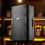 PEAVEY PVXP P10 ลดราคาพิเศษ