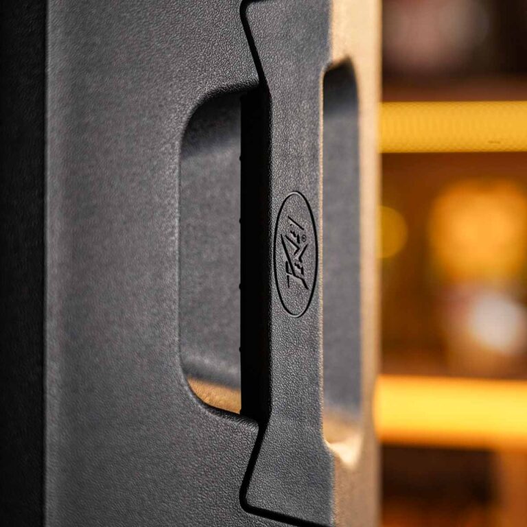 PEAVEY PVXP P10 ขายราคาพิเศษ