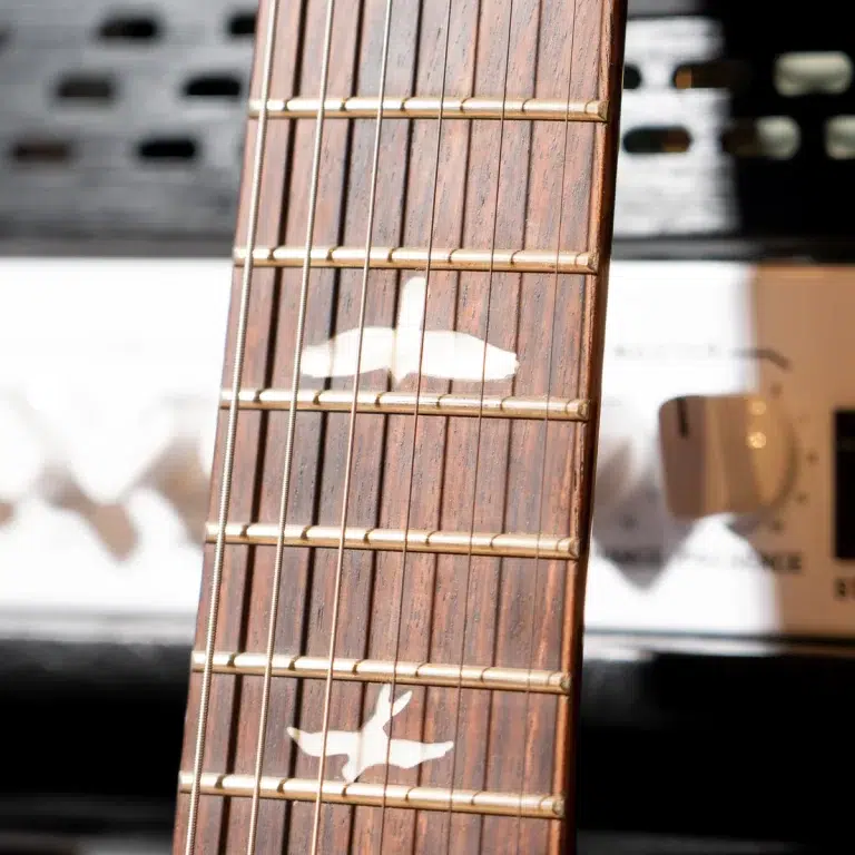 Close-up of a guitar neck with frets and white bird-inlays on dark wood, a blurred amplifier in the background. ขายราคาพิเศษ