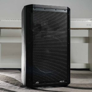 Peavey AQ 15
