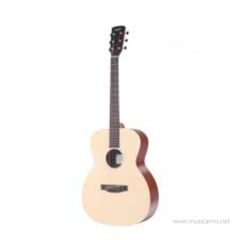 SAGA Galaxy ( Solid Sitka Spruce Top ) กีตาร์โปร่ง ขายราคาพิเศษ