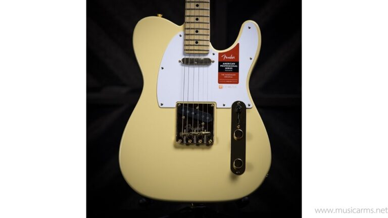 Fender Limited Edition American Professional Telecaster ขายราคาพิเศษ