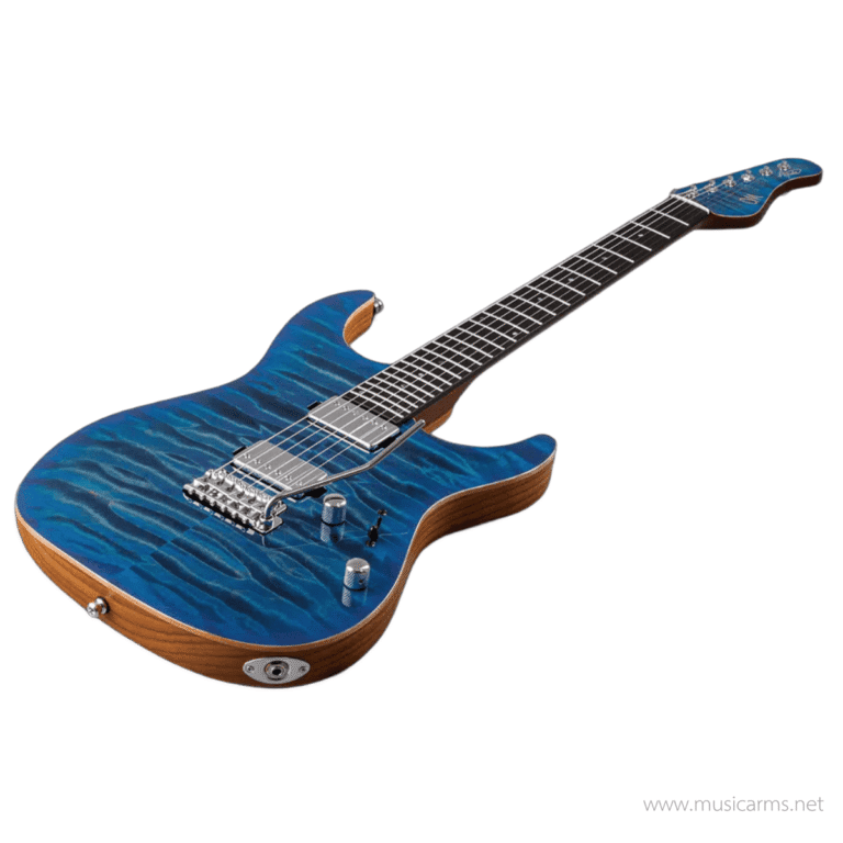 Mayones Aquila Elite V24 S กีตาร์ไฟฟ้า ขายราคาพิเศษ