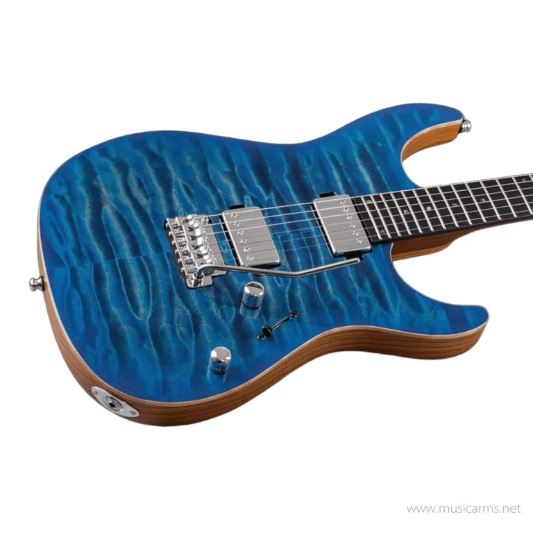 Mayones Aquila Elite V24 S กีตาร์ไฟฟ้า ขายราคาพิเศษ