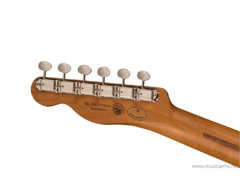 Fender Vintera ’50s Telecaster Modified Roasted Maple Neck Limited Edition ขายราคาพิเศษ