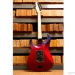 James Tyler JTG Series SE MK I – Jim Burst Metallic ขายราคาพิเศษ