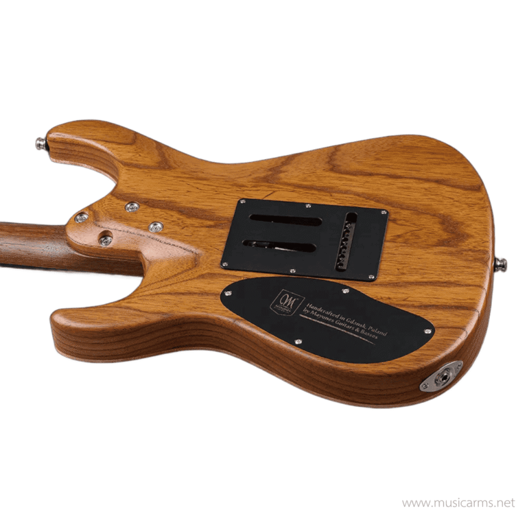 Mayones Aquila Elite V24 S กีตาร์ไฟฟ้า ขายราคาพิเศษ