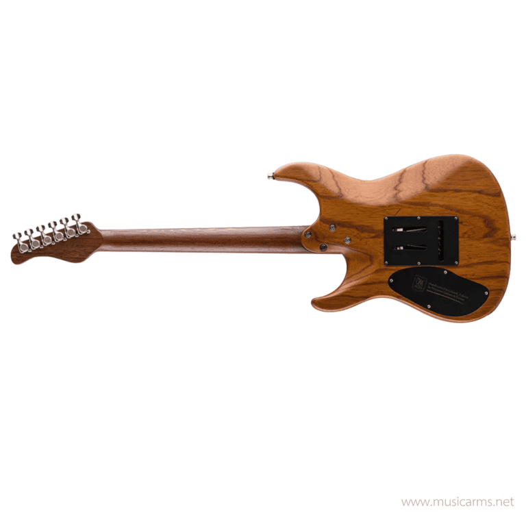 Mayones Aquila Elite V24 S กีตาร์ไฟฟ้า ขายราคาพิเศษ