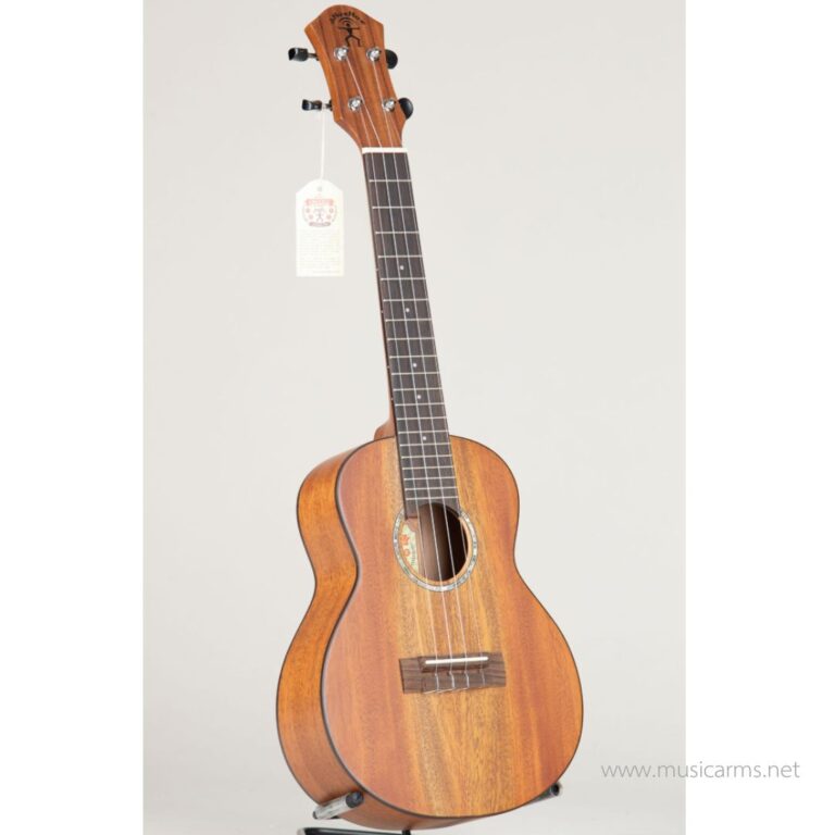 aNueNue C3 Solid Mahogany Top Concert ขายราคาพิเศษ