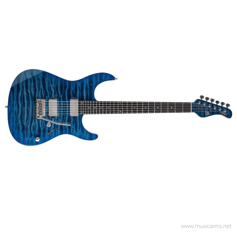 Mayones Aquila Elite V24 S กีตาร์ไฟฟ้า ขายราคาพิเศษ