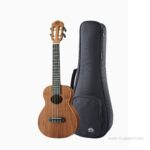 aNueNue K2 Koa2 Concert ขายราคาพิเศษ