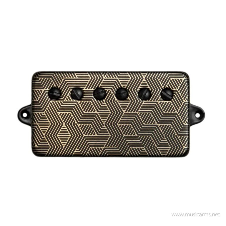 Bare Knuckle Polymath ( Nolly Getgood ) ขายราคาพิเศษ